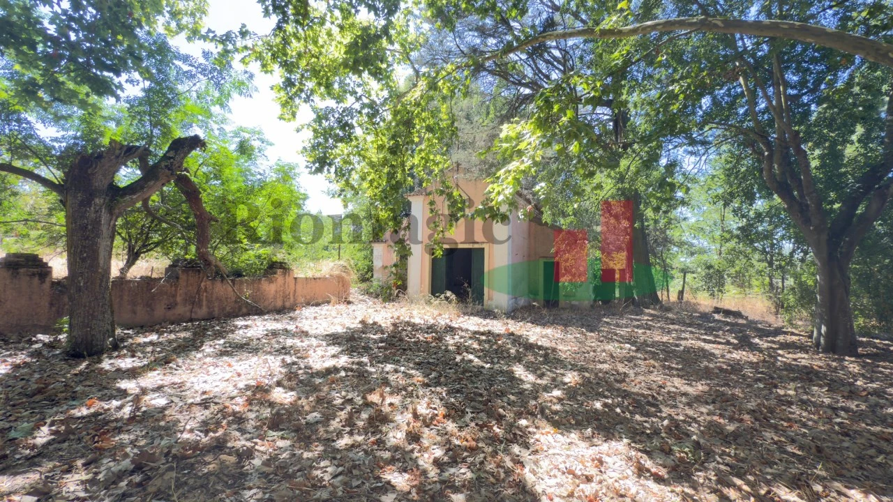 Quinta T5 para Venda em Tramagal Foto 48