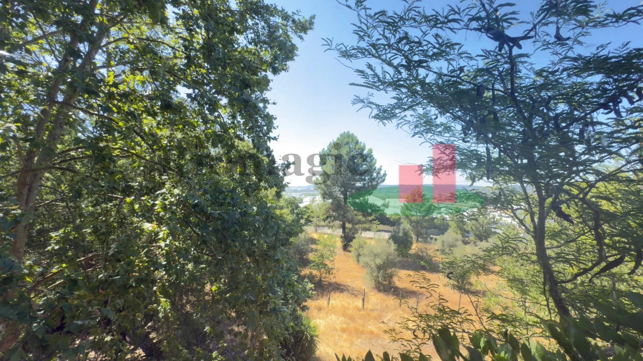 Quinta T5 para Venda em Tramagal Foto 53