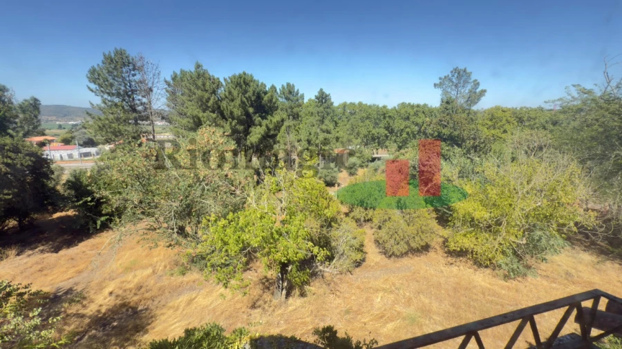 Quinta T5 para Venda em Tramagal Foto 13