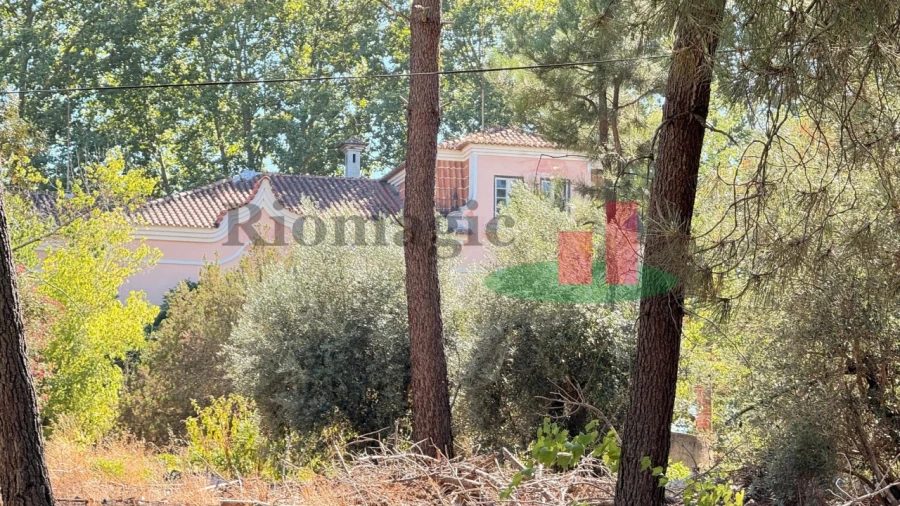 Quinta T5 para Venda em Tramagal Foto 23