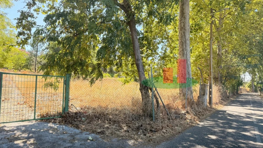 Quinta T5 para Venda em Tramagal Foto 27