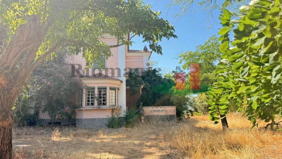 Quinta T5 para Venda em Tramagal Foto 31