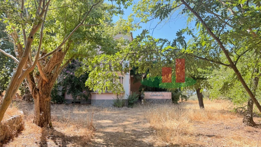 Quinta T5 para Venda em Tramagal Foto 33