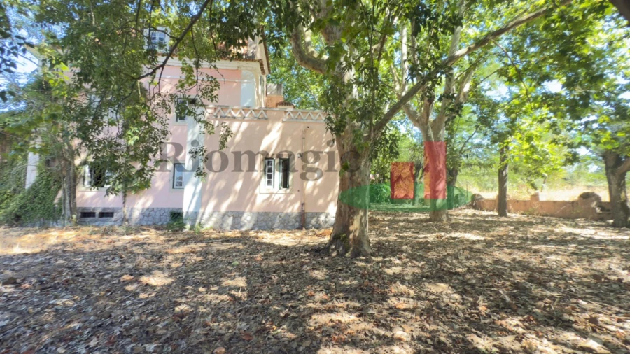 Quinta T5 para Venda em Tramagal Foto 41