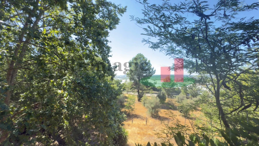 Quinta T5 para Venda em Tramagal Foto 53