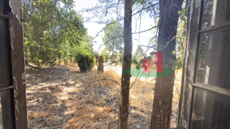 Quinta T5 para Venda em Tramagal Foto 59