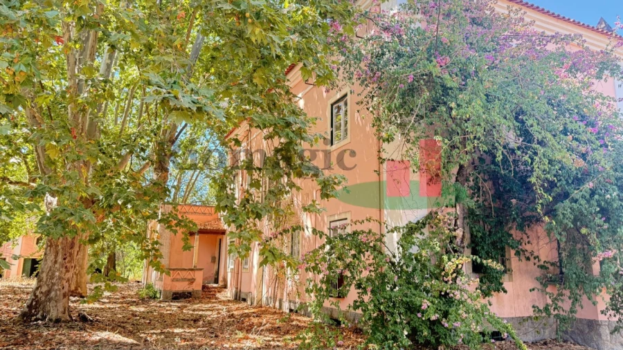 Quinta T5 para Venda em Tramagal Foto 65