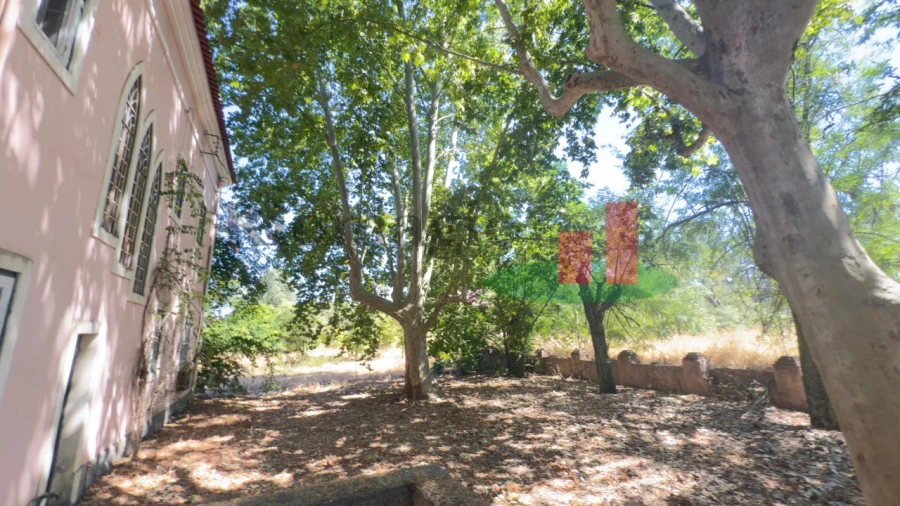 Quinta T5 para Venda em Tramagal Foto 82