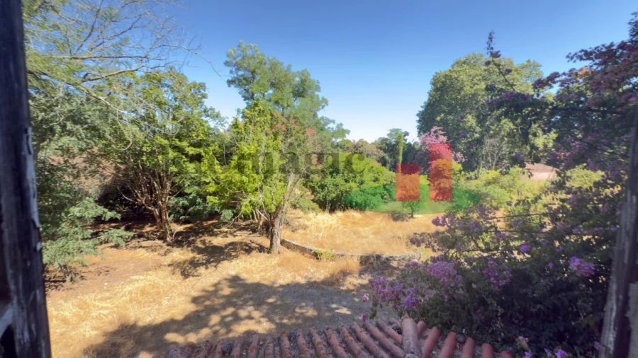 Quinta T5 para Venda em Tramagal Foto 116