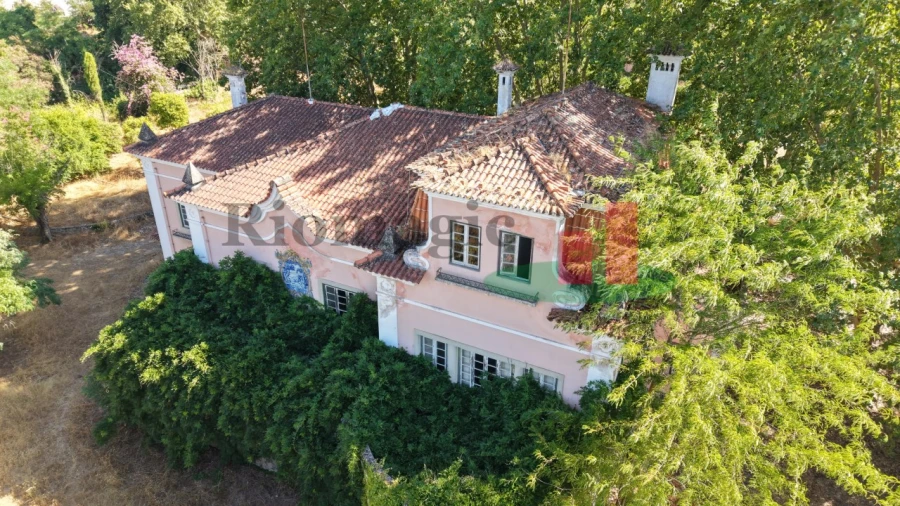 Quinta T5 para Venda em Tramagal Foto 3