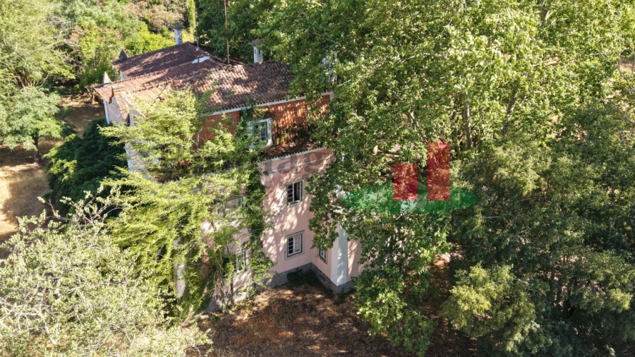 Quinta T5 para Venda em Tramagal Foto 11