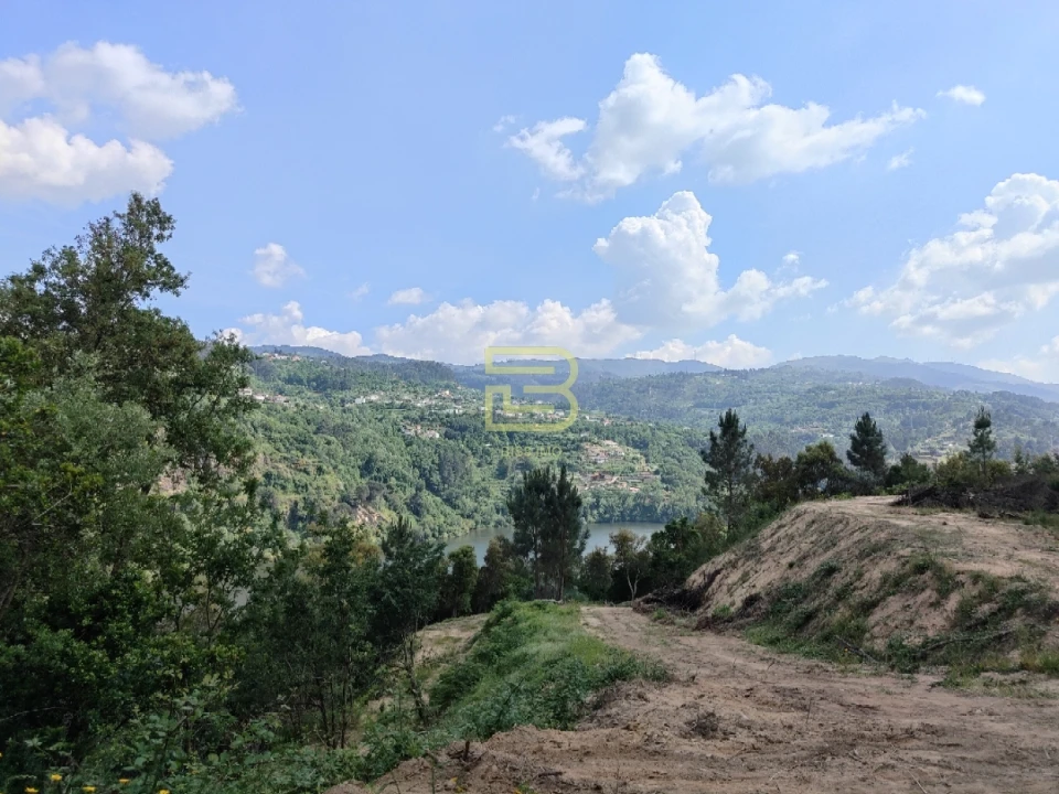 Terreno Misto para Venda em Penhalonga e Paços de Gaiolo Foto 3