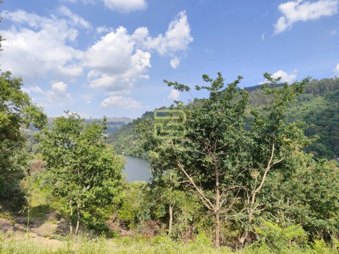 Terreno Misto para Venda em Penhalonga e Paços de Gaiolo Foto 5