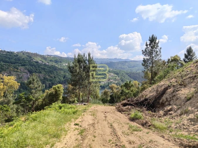 Terreno Misto para Venda em Penhalonga e Paços de Gaiolo Foto 6