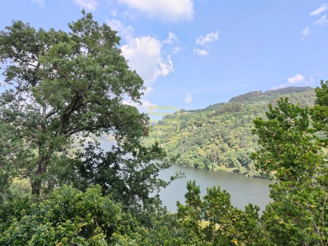 Terreno Misto para Venda em Penhalonga e Paços de Gaiolo Foto 4