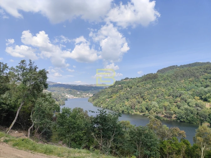 Terreno Misto para Venda em Penhalonga e Paços de Gaiolo Foto 1