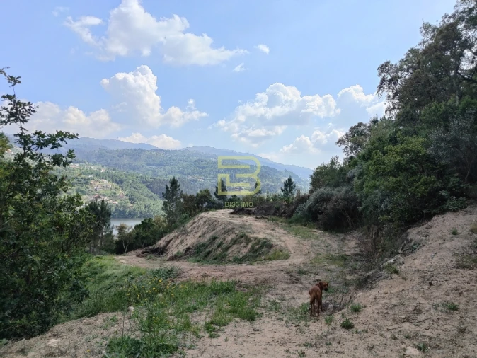 Terreno Misto para Venda em Penhalonga e Paços de Gaiolo Foto 3