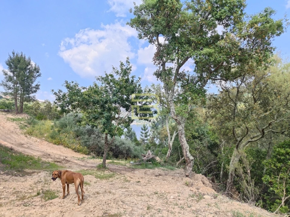 Terreno Misto para Venda em Penhalonga e Paços de Gaiolo Foto 7