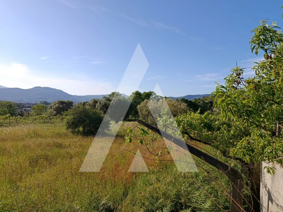 Terreno para Venda em Ribeira Foto 5