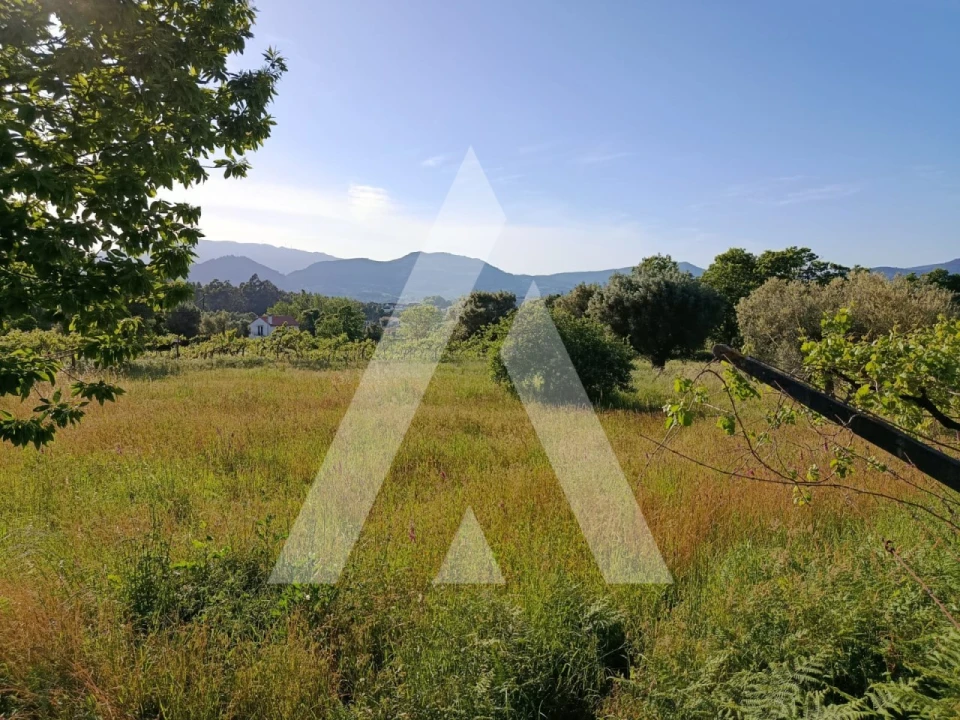 Terreno para Venda em Ribeira Foto 3