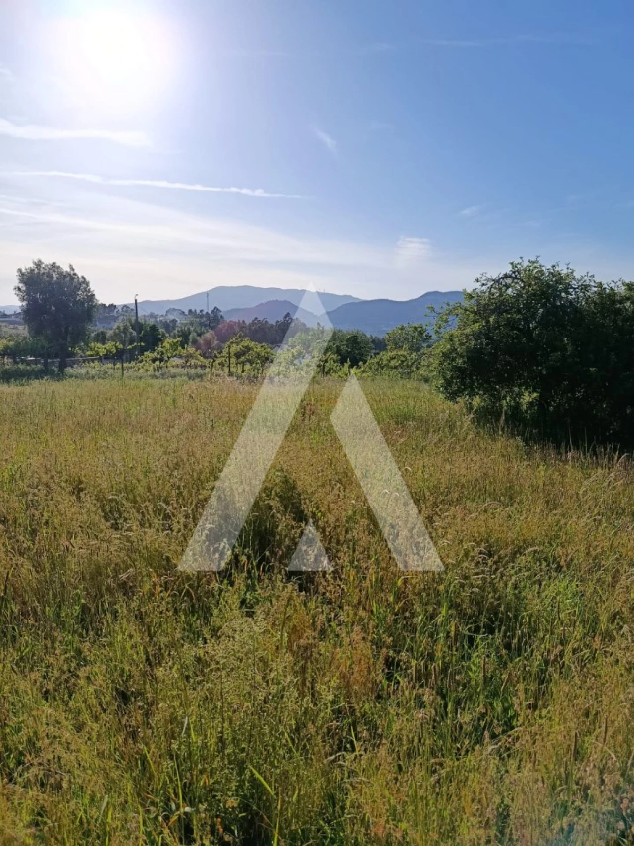 Terreno para Venda em Ribeira Foto 14