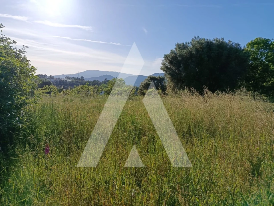 Terreno para Venda em Ribeira Foto 8