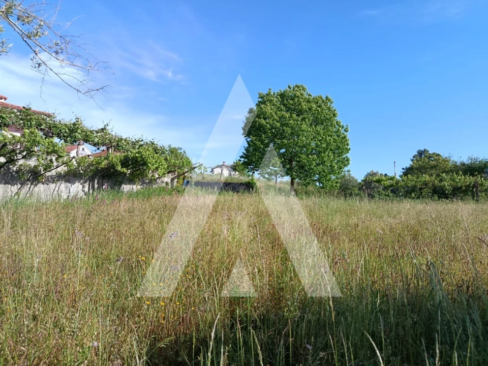 Terreno para Venda em Ribeira Foto 11