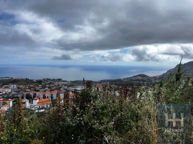 Terreno para Venda em Santo Antonio Foto 4