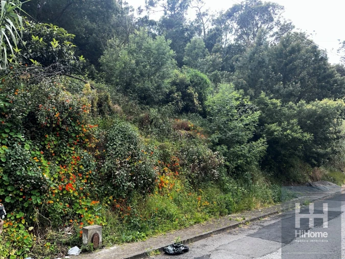 Terreno para Venda em Santo Antonio Foto 8