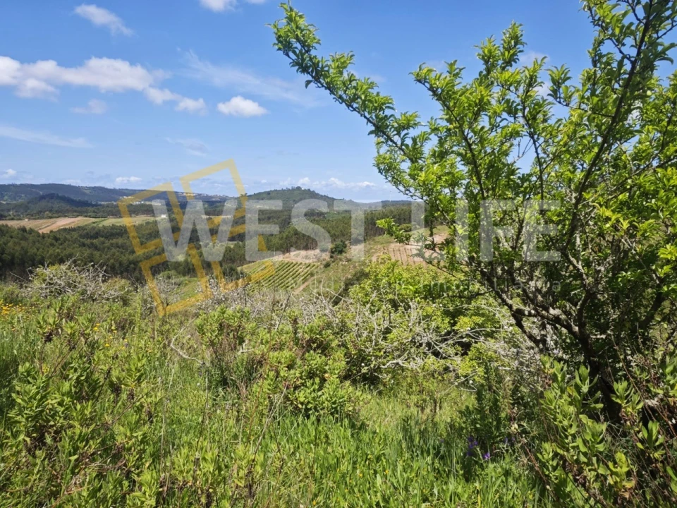 Terreno Misto para Venda em Azueira e Sobral da Abelheira Foto 1
