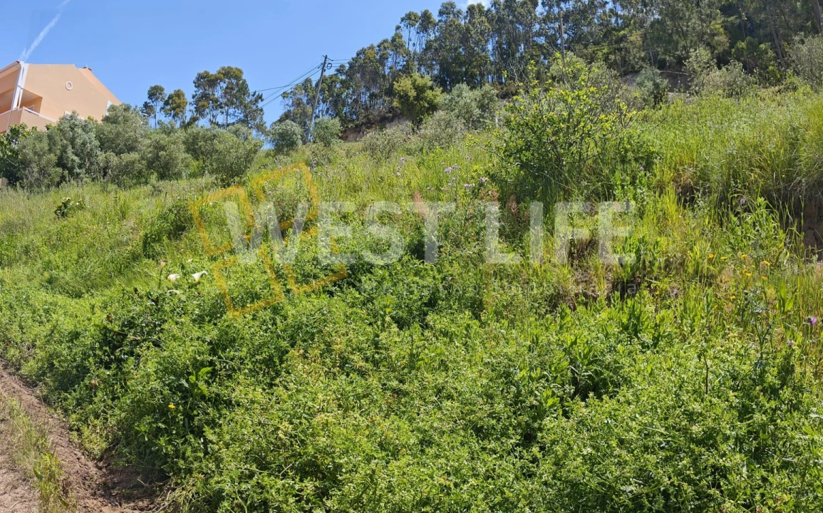 Terreno Misto para Venda em Azueira e Sobral da Abelheira Foto 5