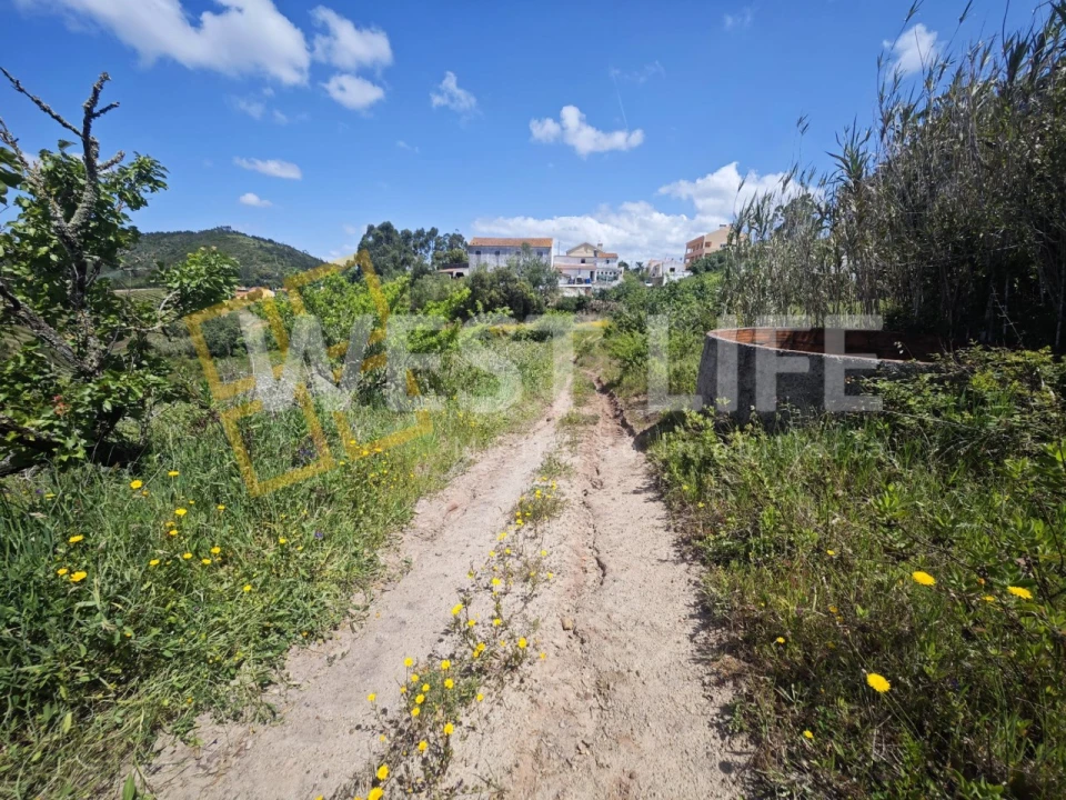 Terreno Misto para Venda em Azueira e Sobral da Abelheira Foto 8