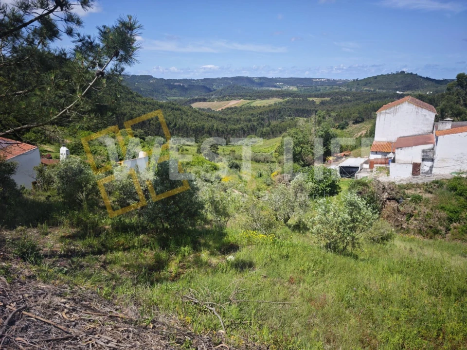 Terreno Misto para Venda em Azueira e Sobral da Abelheira Foto 11
