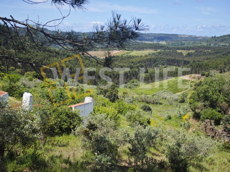 Terreno Misto para Venda em Azueira e Sobral da Abelheira Foto 12