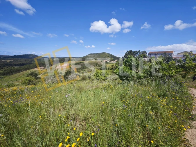 Terreno Misto para Venda em Azueira e Sobral da Abelheira Foto 4