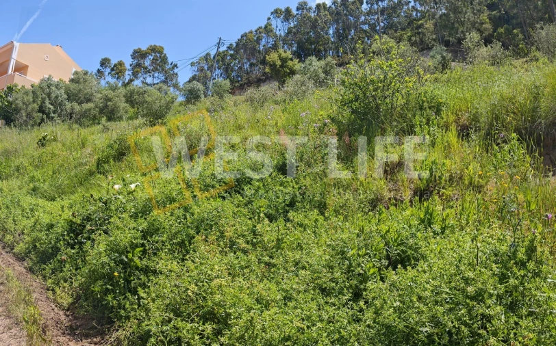 Terreno Misto para Venda em Azueira e Sobral da Abelheira Foto 5