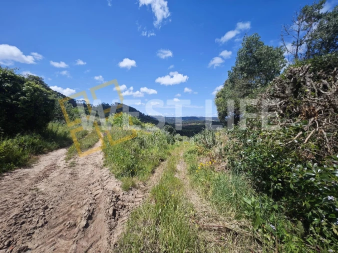 Terreno Misto para Venda em Azueira e Sobral da Abelheira Foto 10