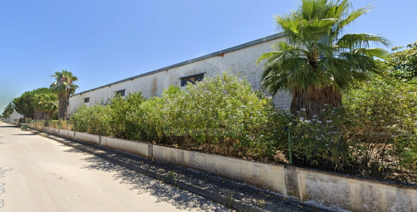 Armazém para Venda em Chamusca e Pinheiro Grande Foto 1