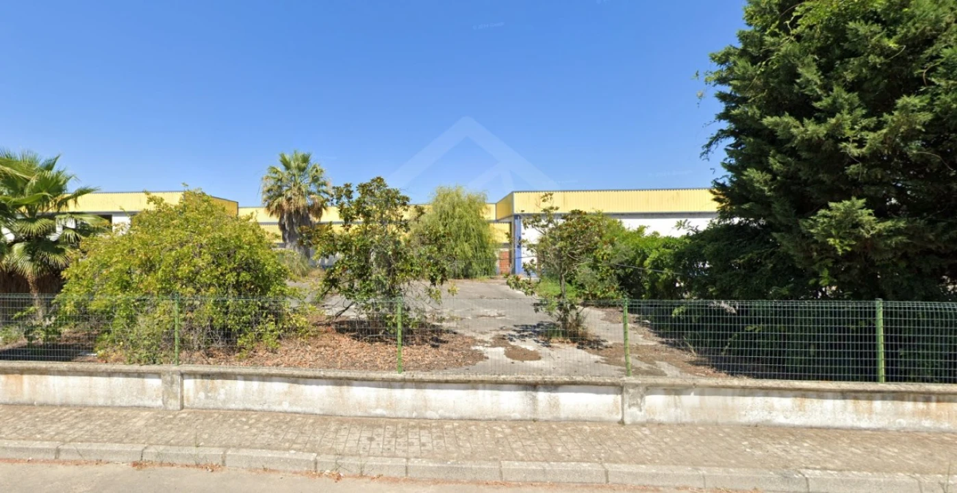 Armazém para Venda em Chamusca e Pinheiro Grande Foto 5