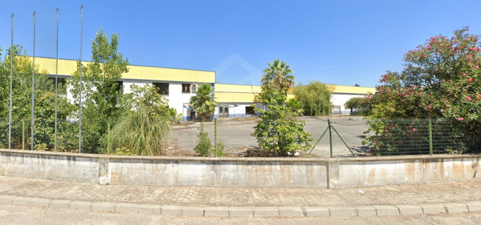 Armazém para Venda em Chamusca e Pinheiro Grande Foto 6