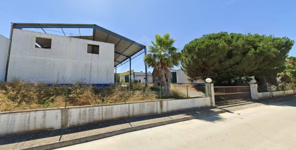 Armazém para Venda em Chamusca e Pinheiro Grande Foto 2