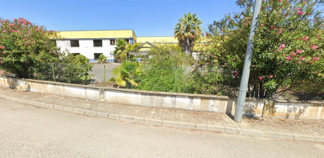 Armazém para Venda em Chamusca e Pinheiro Grande Foto 4