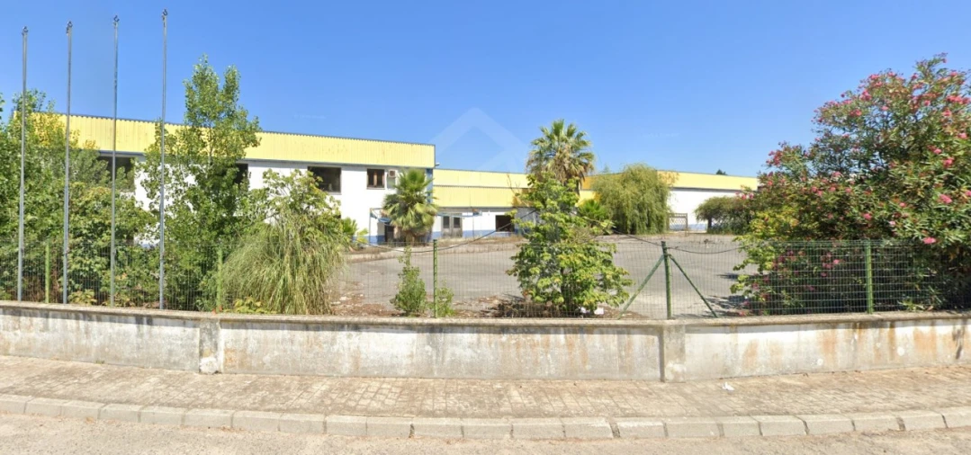 Armazém para Venda em Chamusca e Pinheiro Grande Foto 6