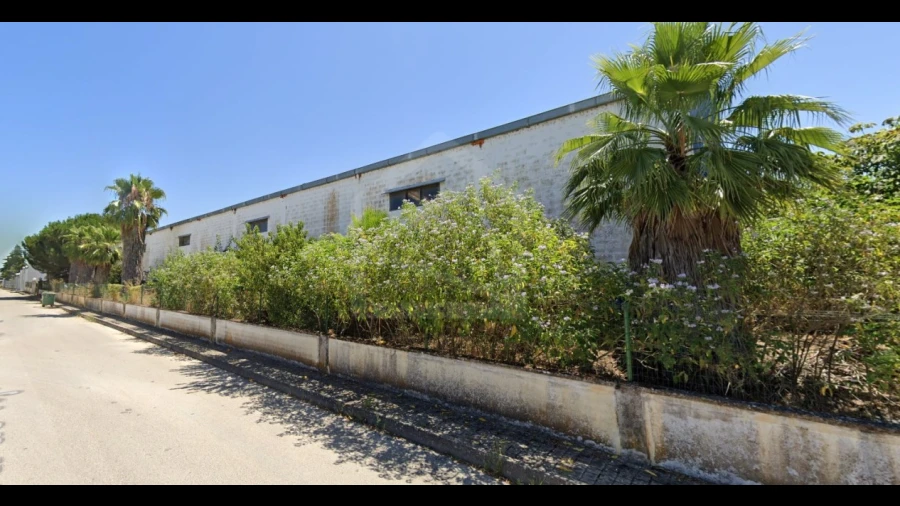 Armazém para Venda em Chamusca e Pinheiro Grande