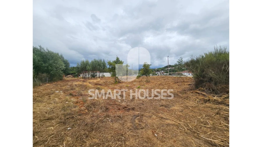 Terreno para Venda em Santa Ovaia e Vila Pouca da Beira Foto 4