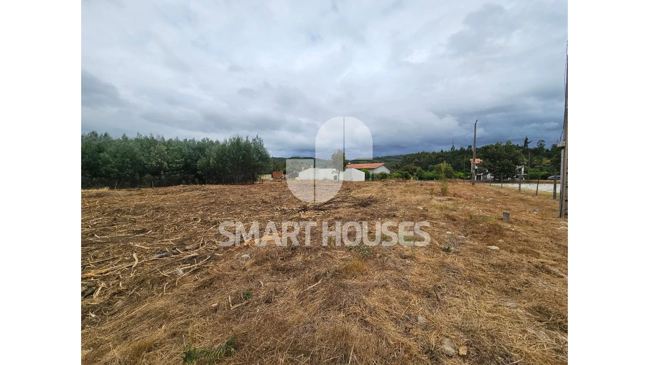 Terreno para Venda em Santa Ovaia e Vila Pouca da Beira Foto 5