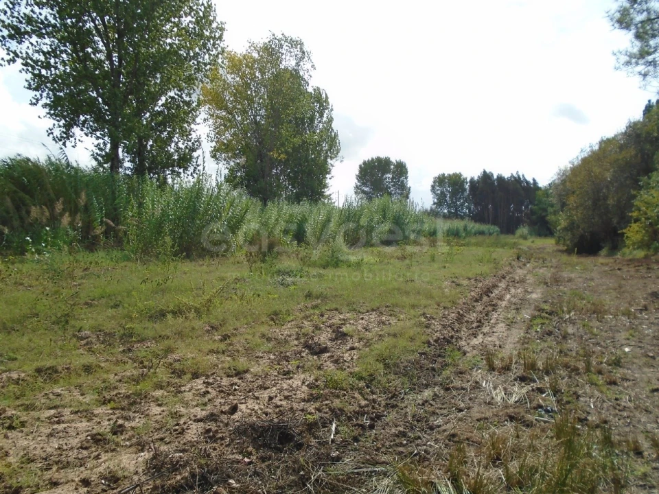 Terreno para Venda em Valado dos Frades Foto 17