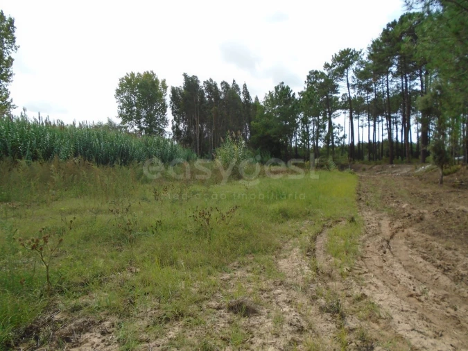 Terreno para Venda em Valado dos Frades Foto 11