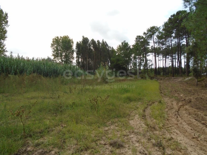 Terreno para Venda em Valado dos Frades Foto 13