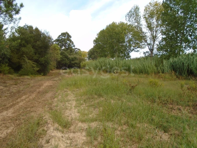 Terreno para Venda em Valado dos Frades Foto 15